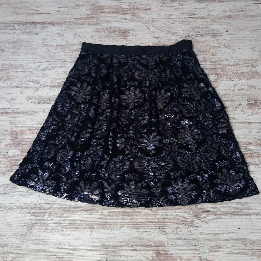 Painted Heart Chic Sparkly Lacey Patterned Lined Women's Skirt